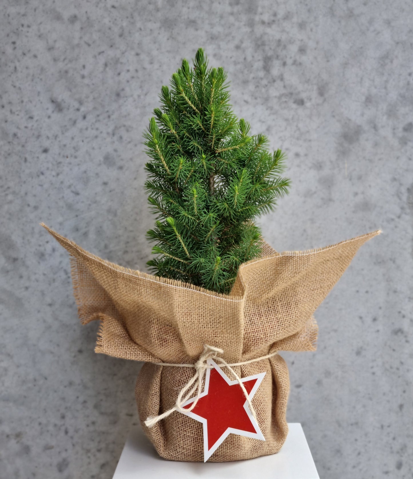 Mini Christmas Tree