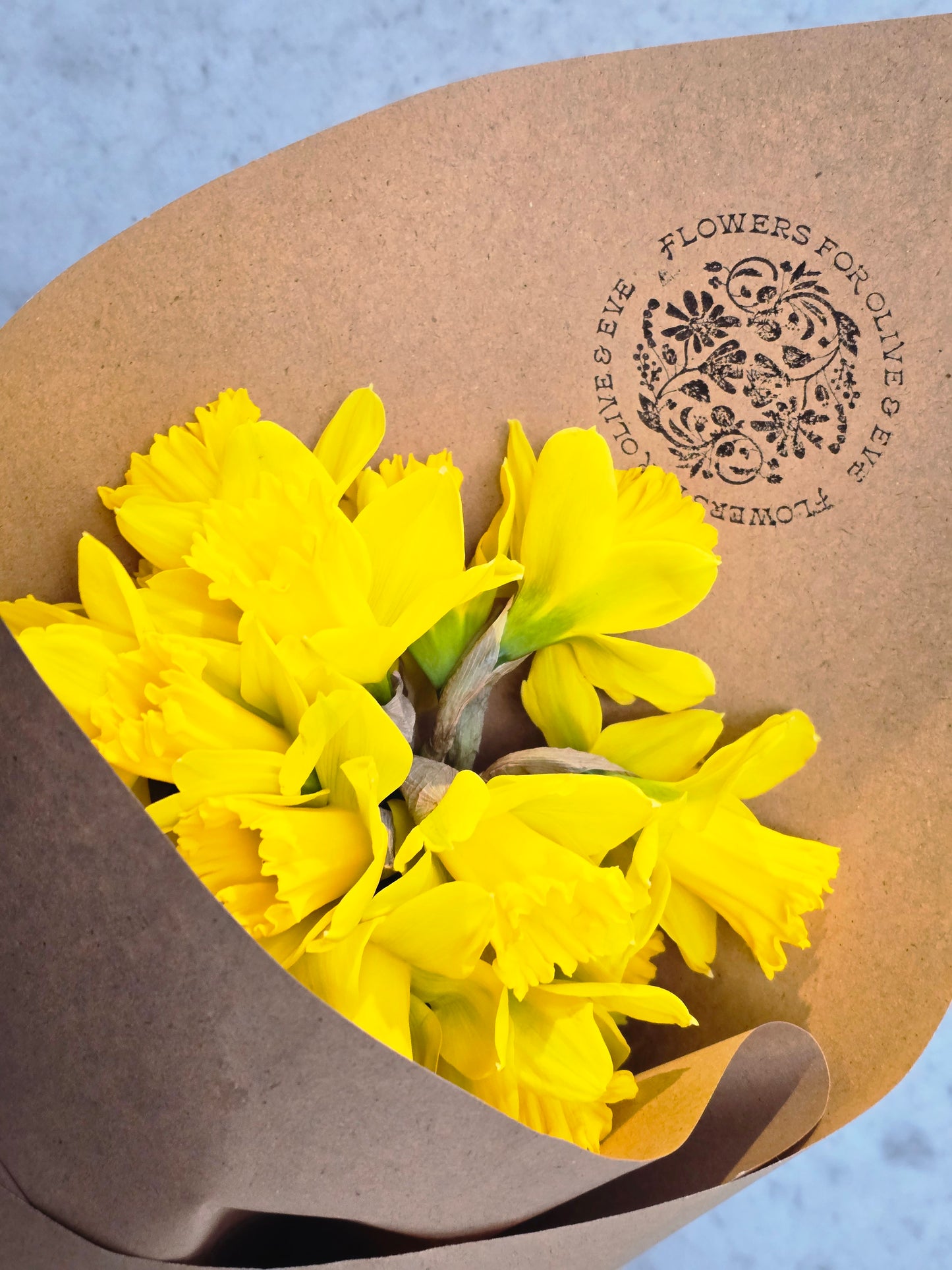 Daffodil Bunch (wrapped)