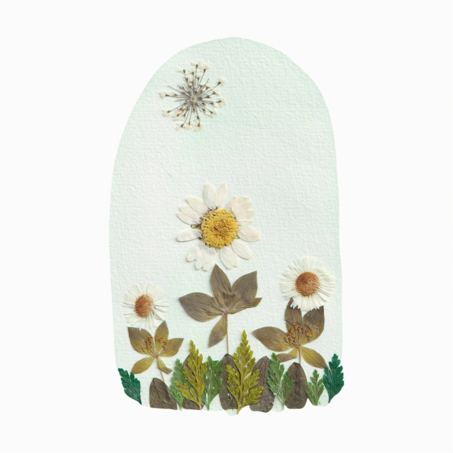 Plantable Cards