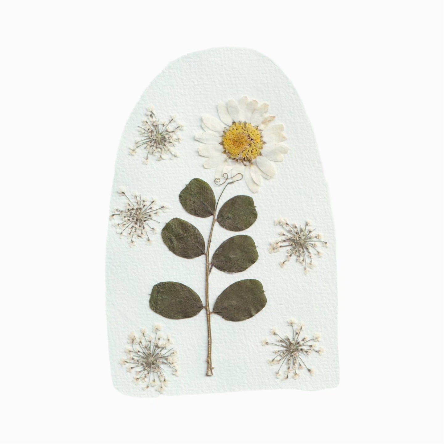 Plantable Cards