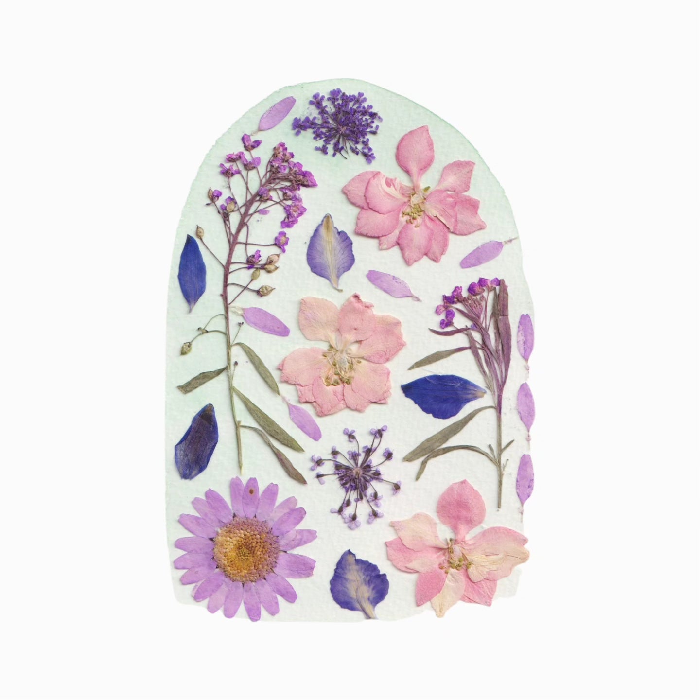 Plantable Cards