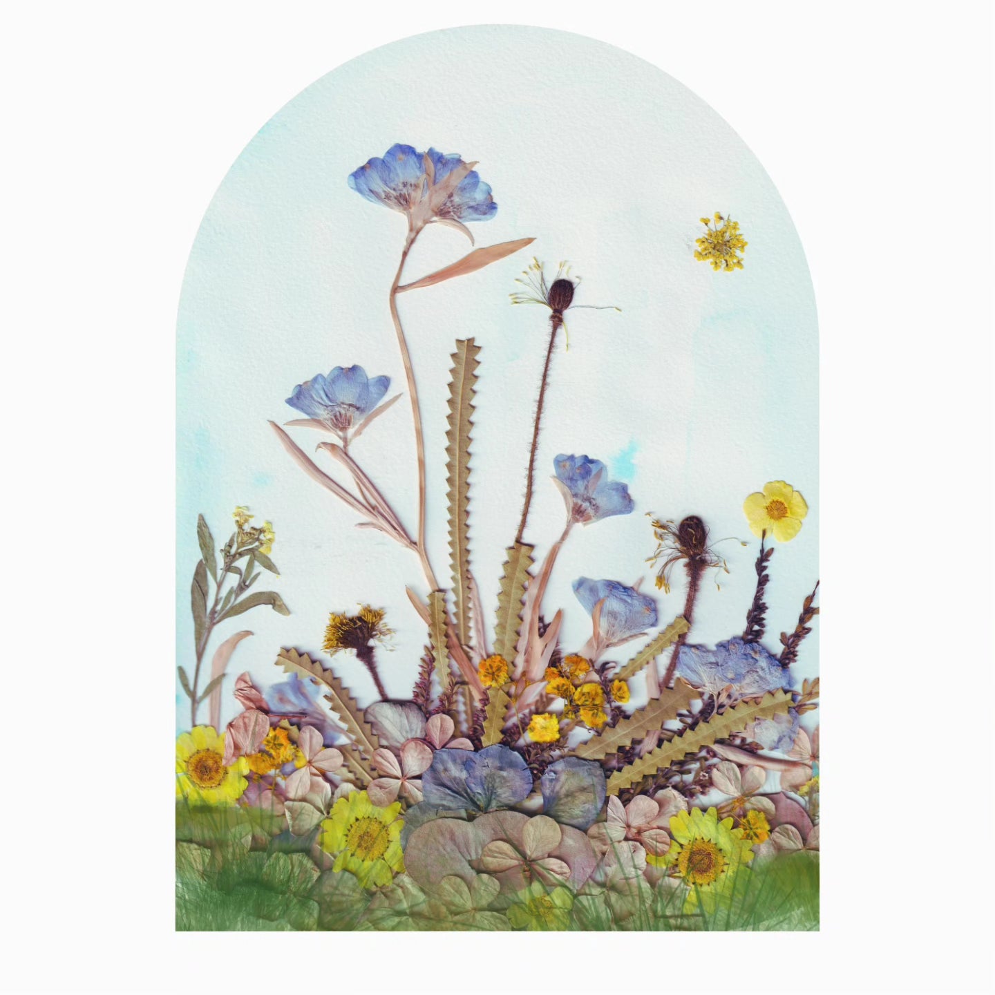 Plantable Cards
