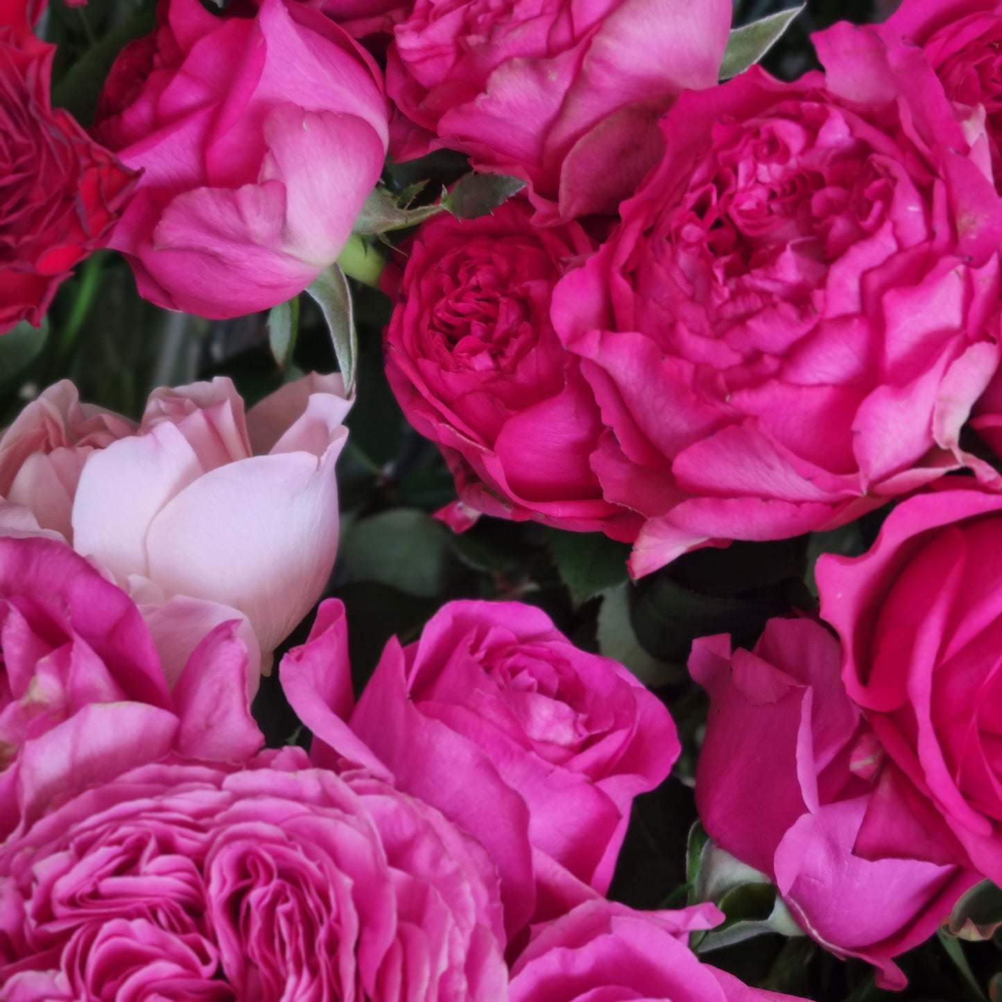 Mixed Grandiflora Rose Bouquet