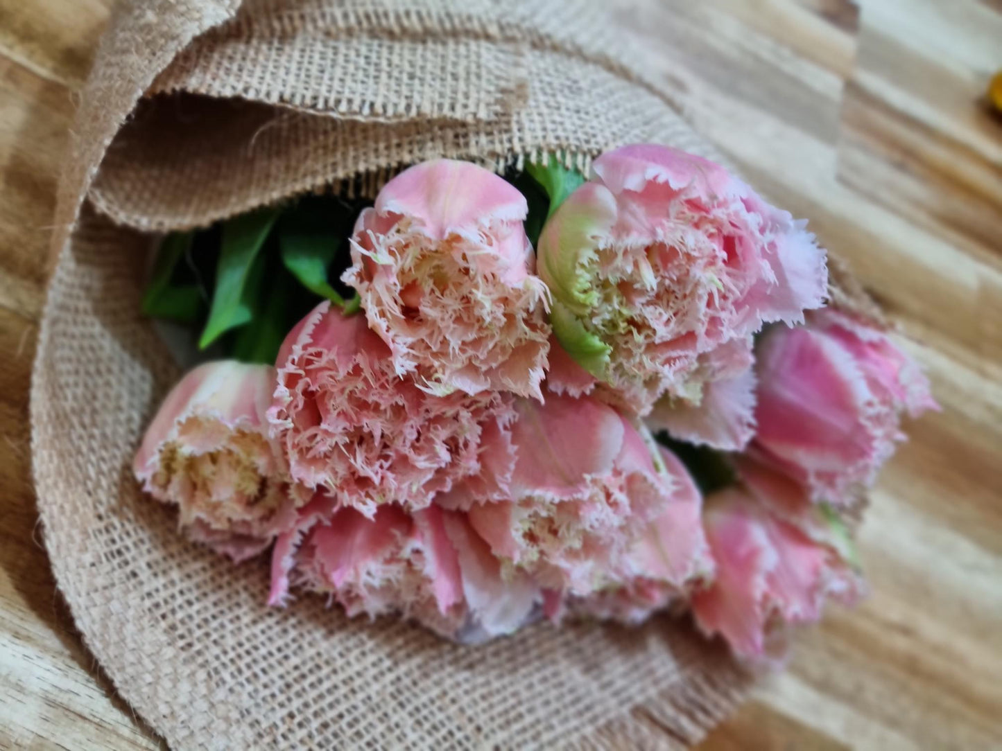 Elite (Parrot) Tulip Bunch wrapped in hessian