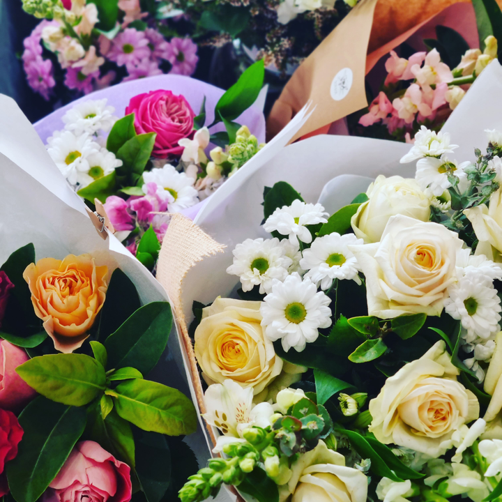 Daily Blooms