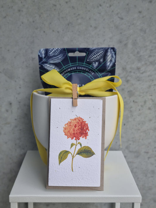 Plantable Card Gift Pack
