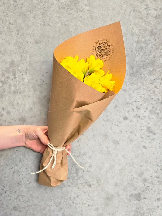 Daffodil Bunch (wrapped)
