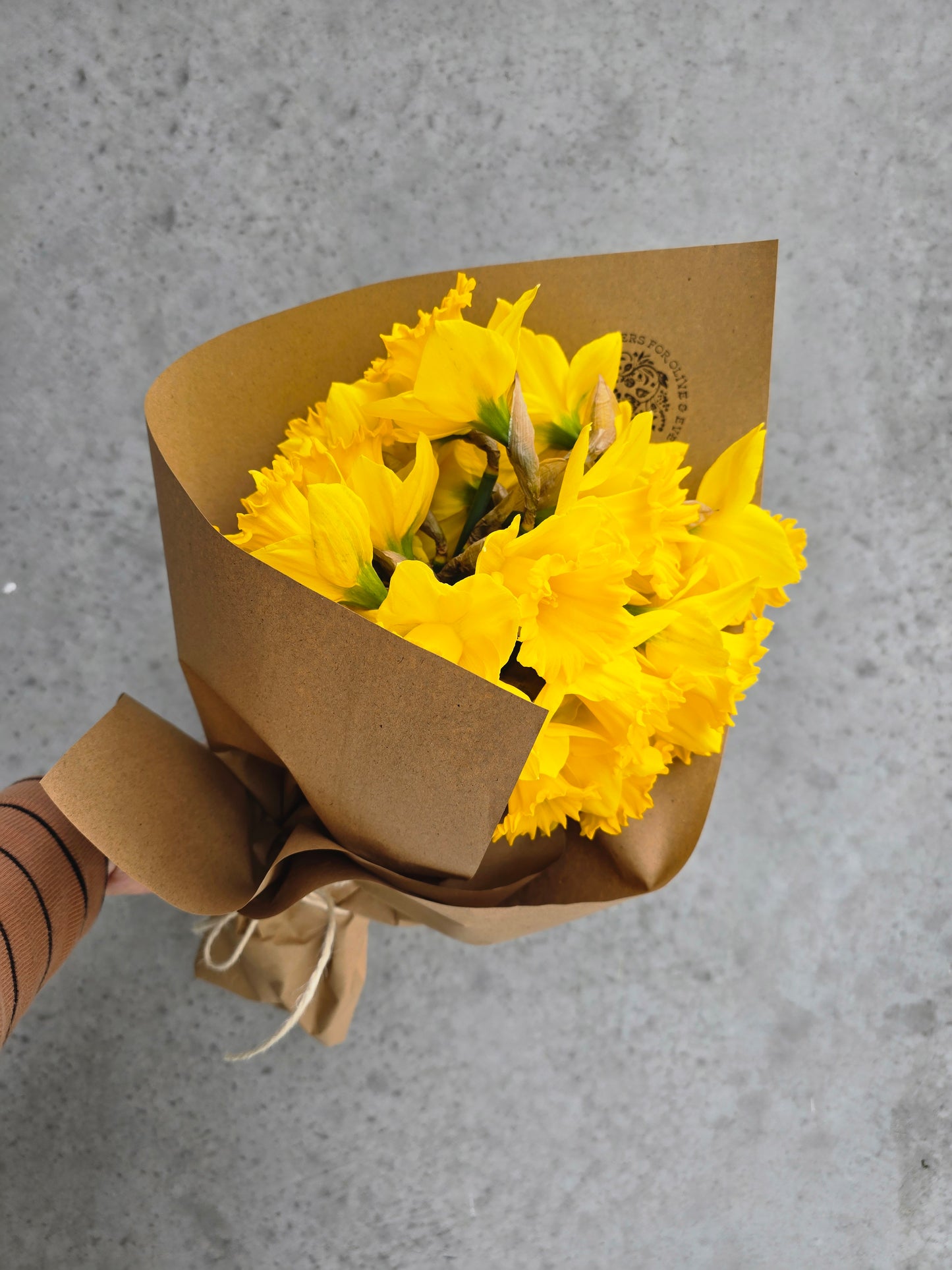 Large Daffodil Bunch (wrapped)