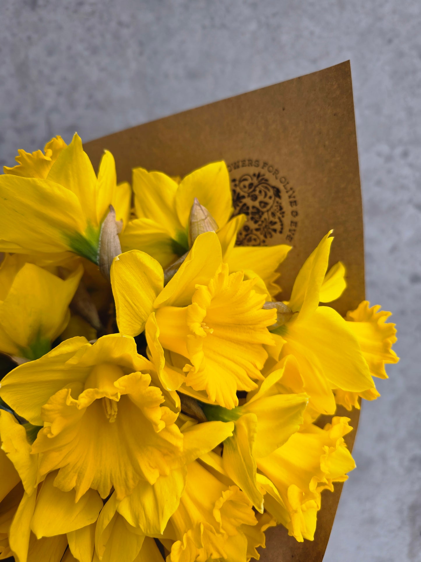 Large Daffodil Bunch (wrapped)