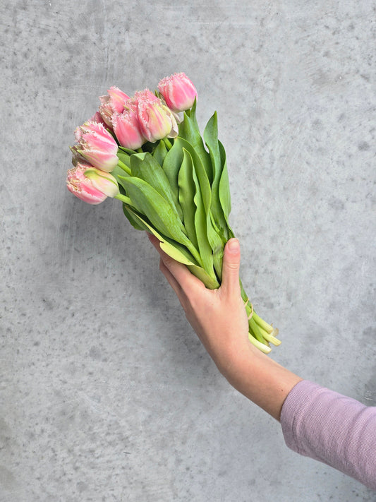 Elite (Parrot) Tulip Bunch wrapped in hessian