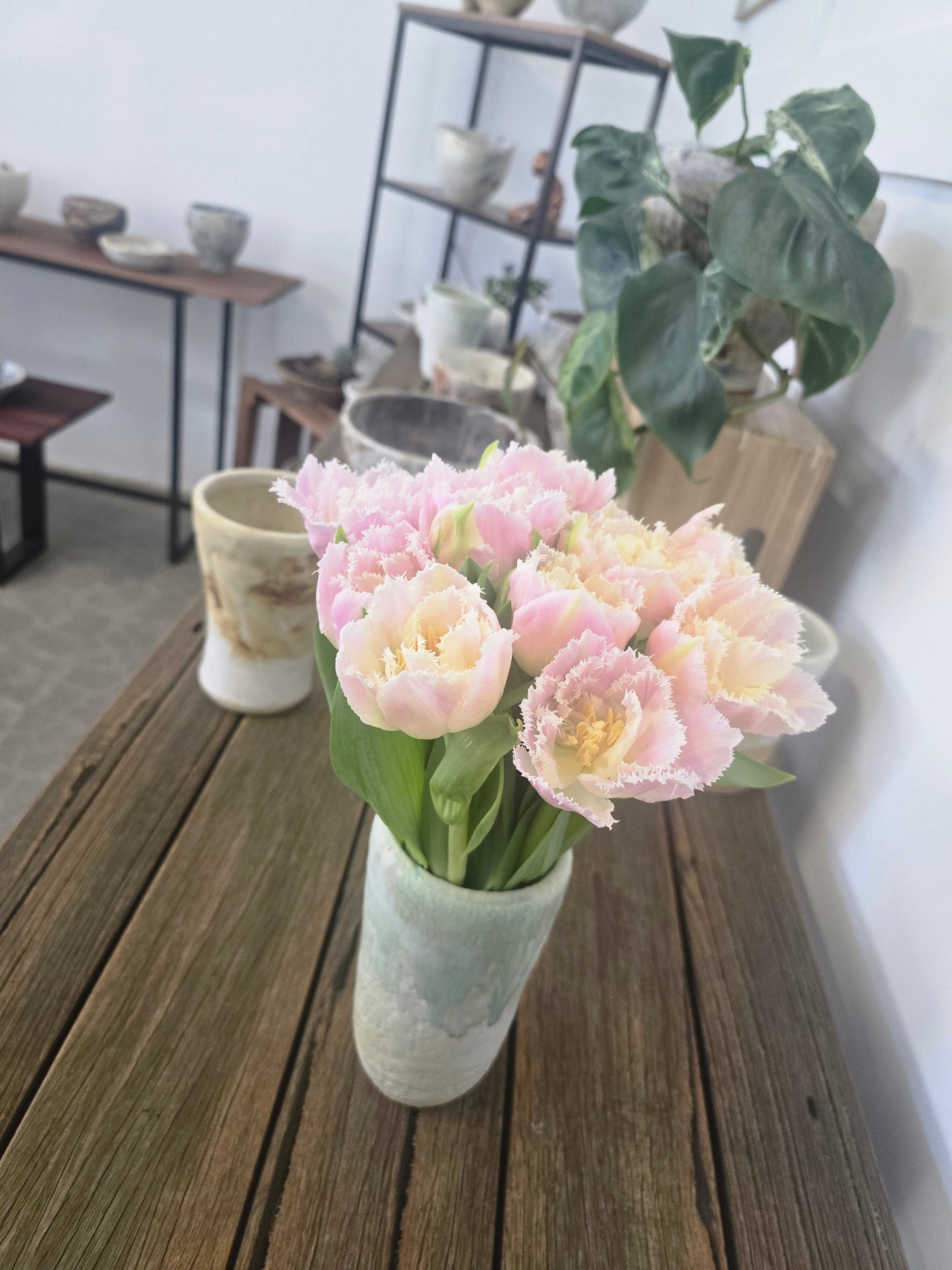Elite Parrot Tulips in Handmade Vase